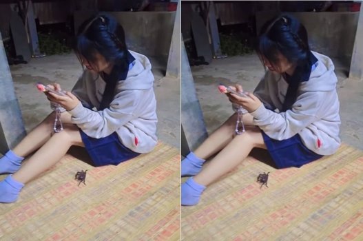 Hốt hỏi tại chốn ẩn náu để thực hiện hành vi tình dục